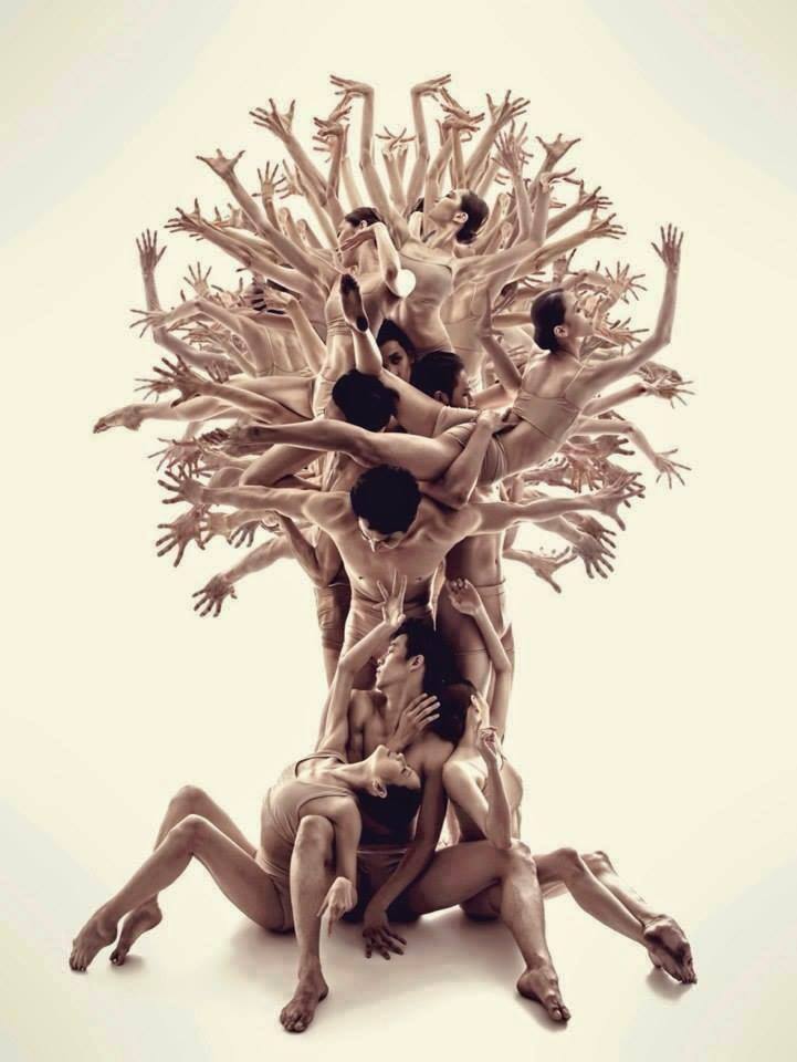 We are all branches of the tree