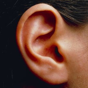 protect your ears with ear plugs