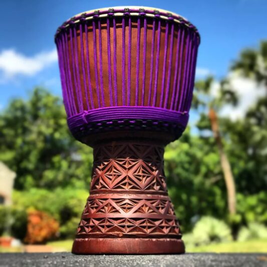 Djembe Life Drums by David Hernandez in Florida