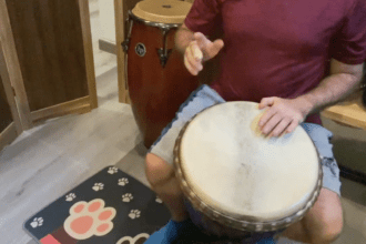 World Rhythms: Djembe Meets Funky Pandeiro