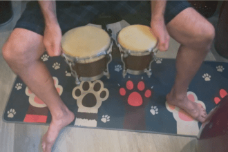 Bongo Crash Course For Beginners